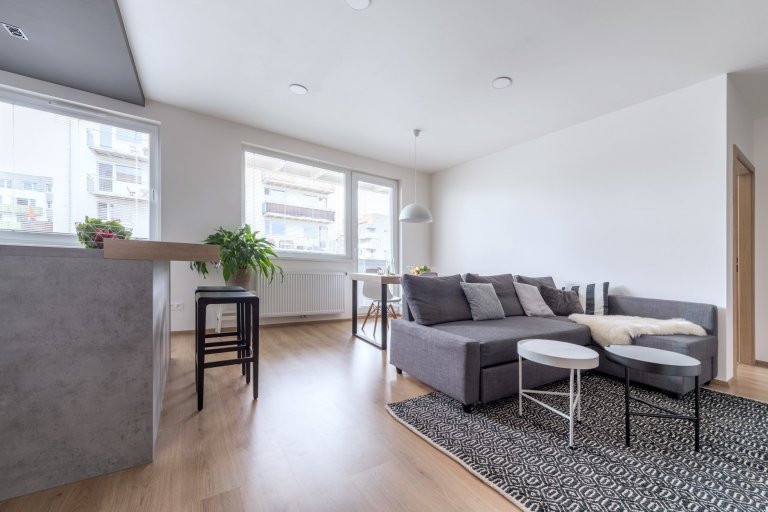 Moderní bytové interiéry se v&nbsp;posledních letech jednoznačně ubírají směrem k&nbsp;čistotě, jednoduchosti a&nbsp;vzdušnosti. Moderní interiér bytu v…