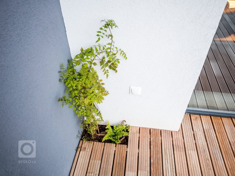 add picture to album